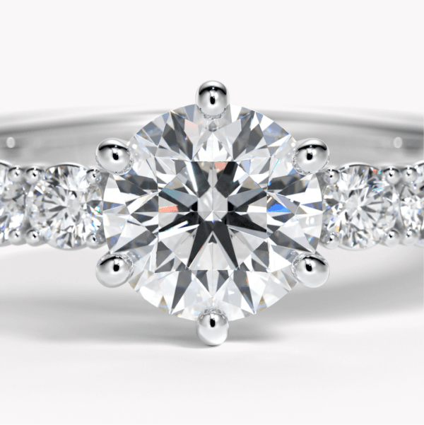 ring med 6 klo fattning